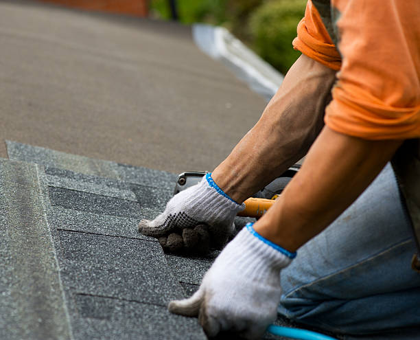 Best Flat Roof Repair Services  in Wilson, AR